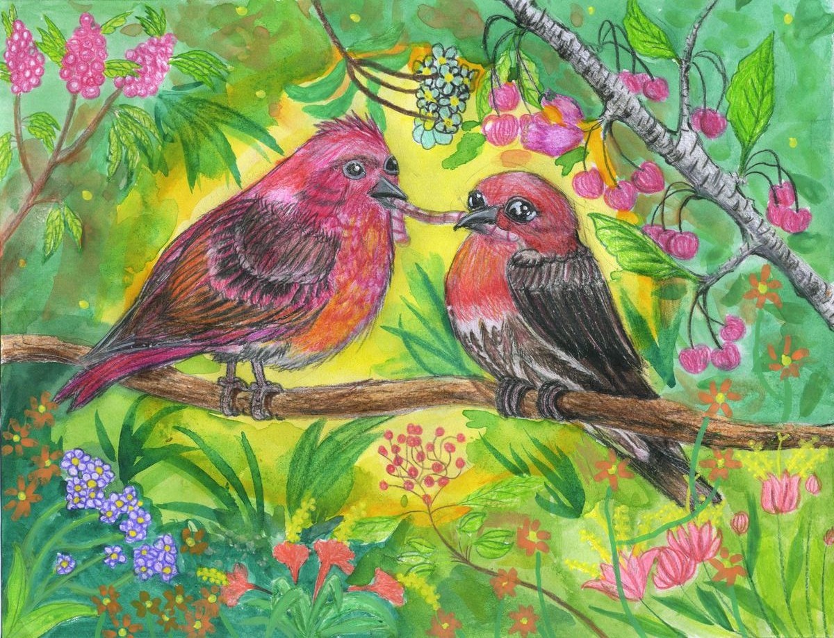 Blossoming Finch Haven