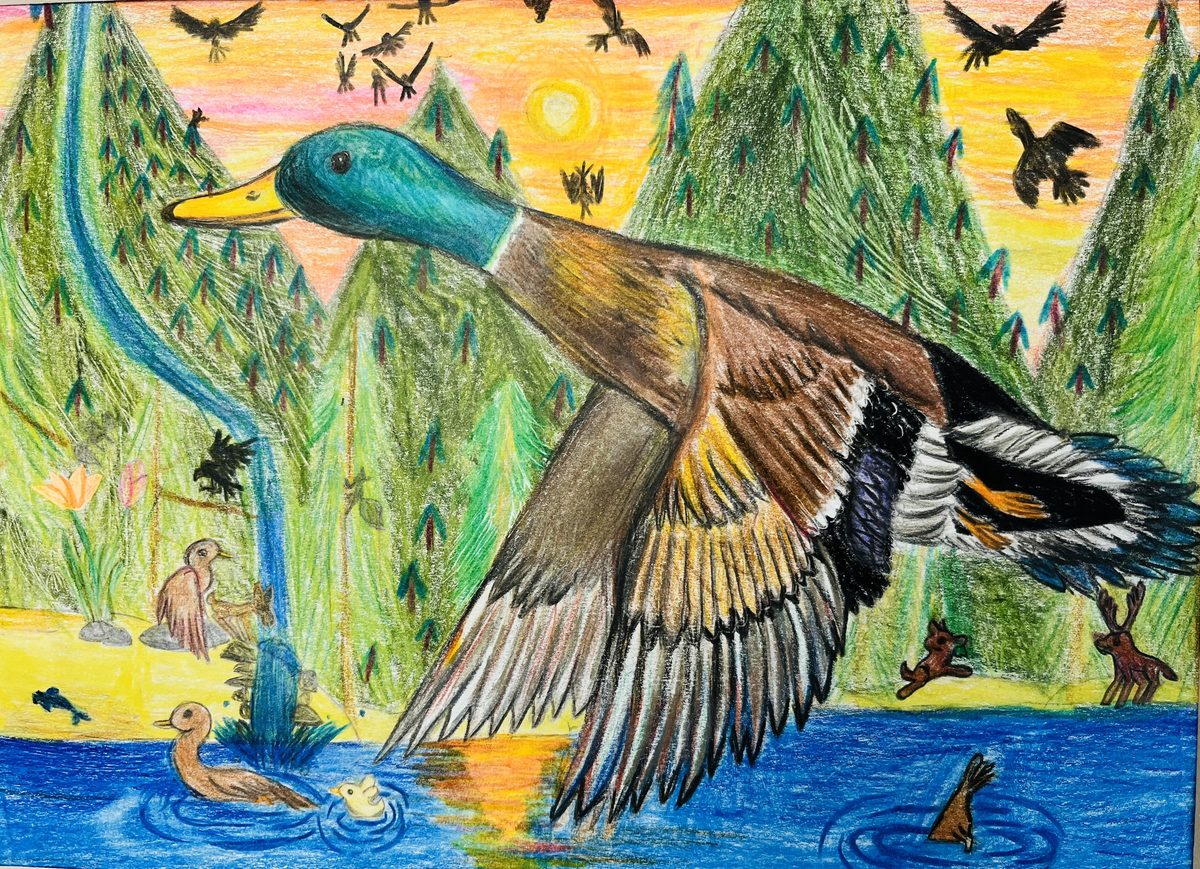 The Mallard's Evening Journey